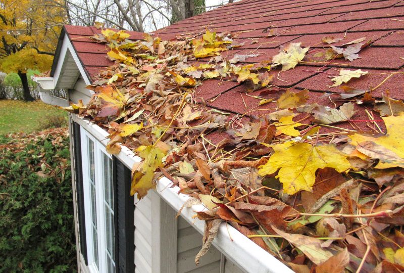 Seasonal Roof Maintenance